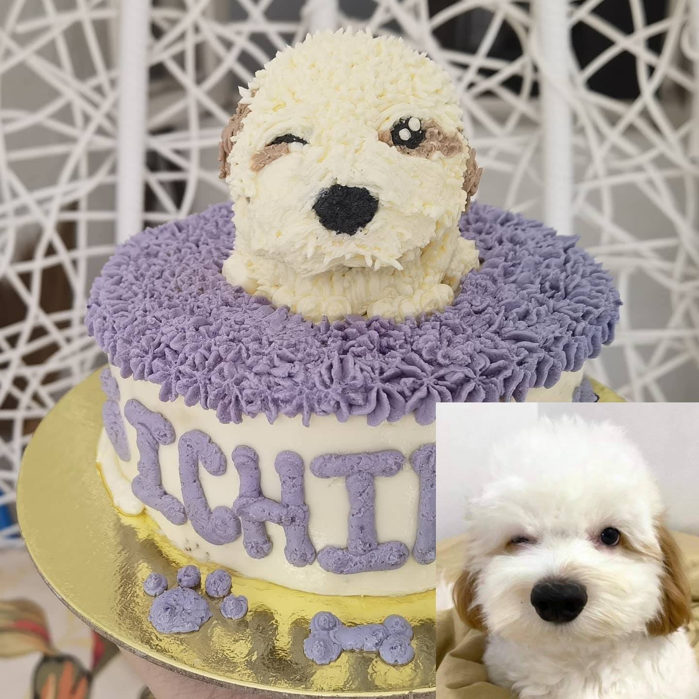 Cakes for 2025 dogs ph