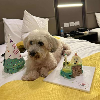 Image from Himbon's FB page